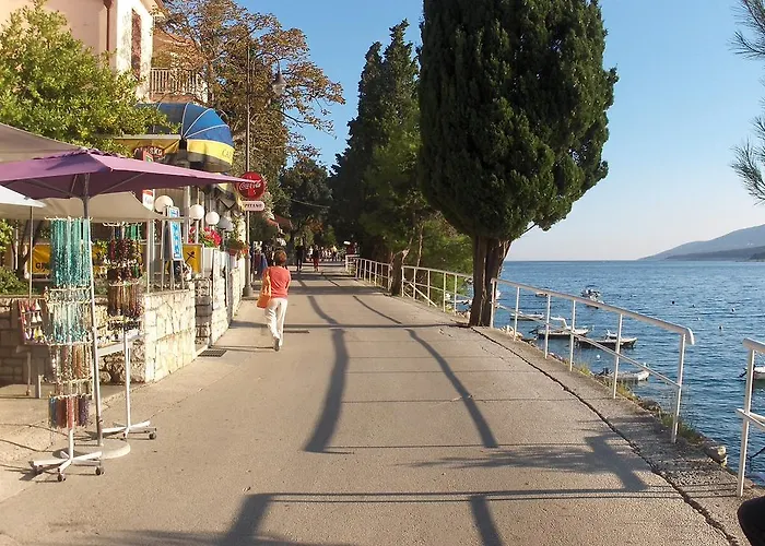 Kras Apartment Labin (Istria)